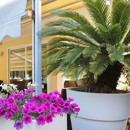 إليزير ريميني