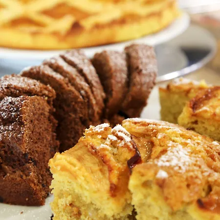 إليزير 4* ريميني